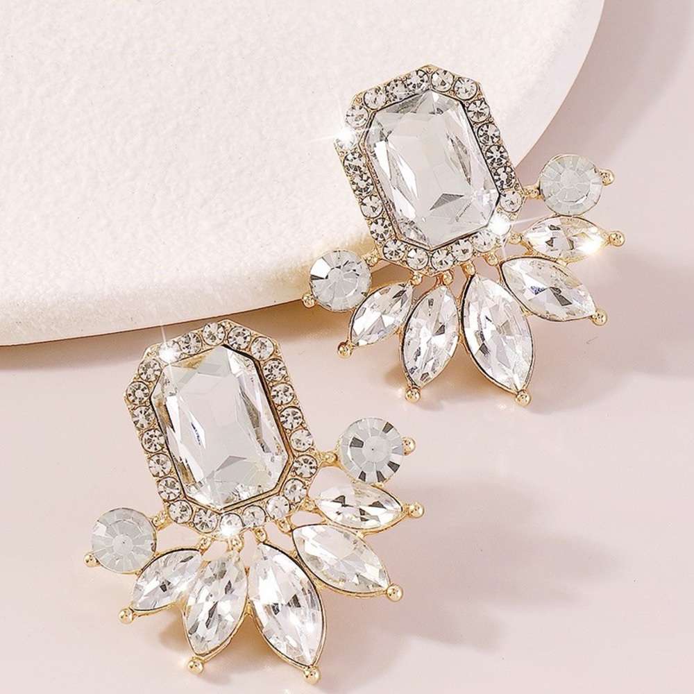 Crystal Studded Earrings. NWT